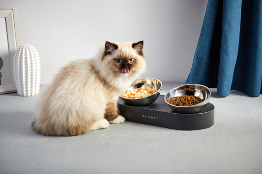 PETKIT FRESH NANO - 15° ADJUSTABLE FEEDING METAL DUAL BOWL