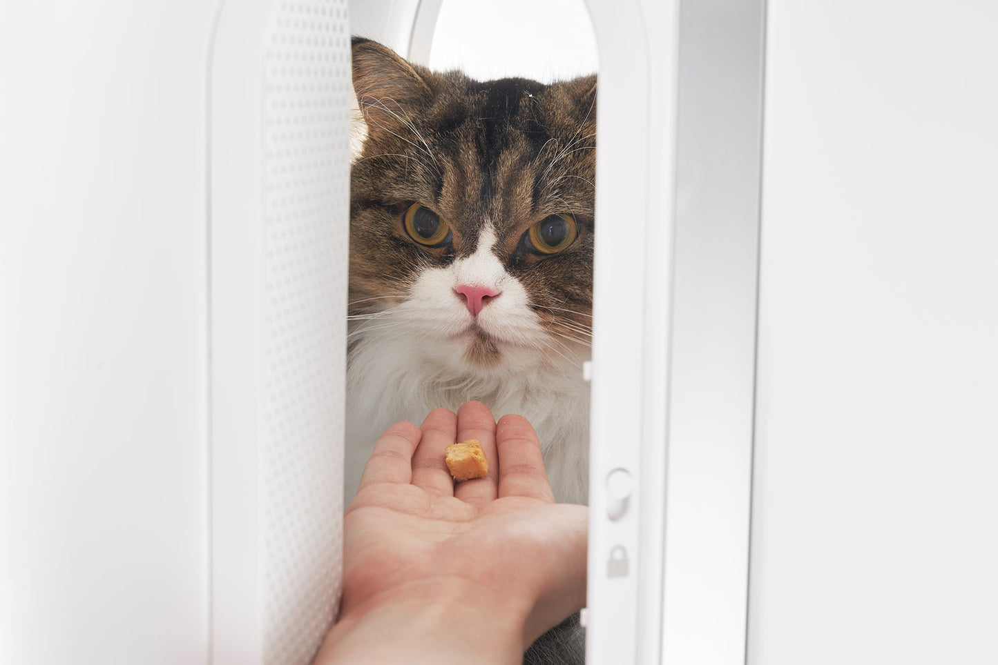 PIDAN WHEELED PET CARRIER VENTILATION TYPE