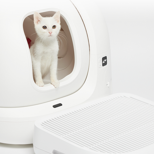 Petkit Cat Litter Ramp