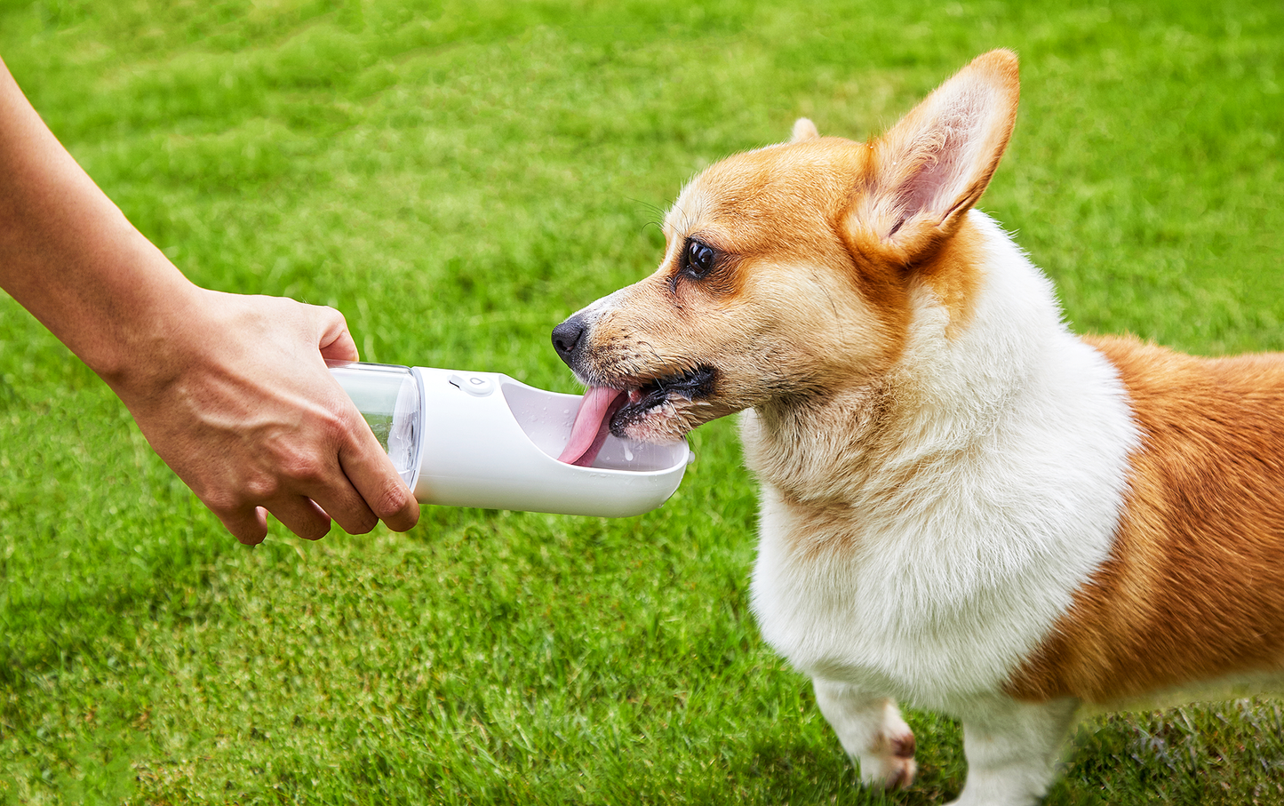 PETKIT EVERSWEET PET TRAVEL WATER BOTTLE 400ML