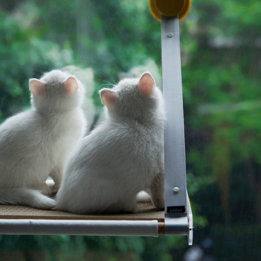 PIDAN PET AIR BED - PREMIUM FOLDING DESIGN