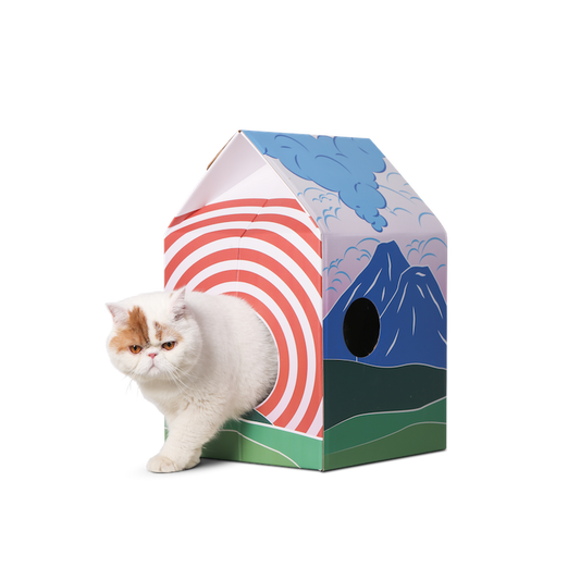 PIDAN CAT SCRATCHER - FUJI