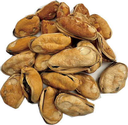Dog Knight Freeze Dried Green Lipped Mussels 50g