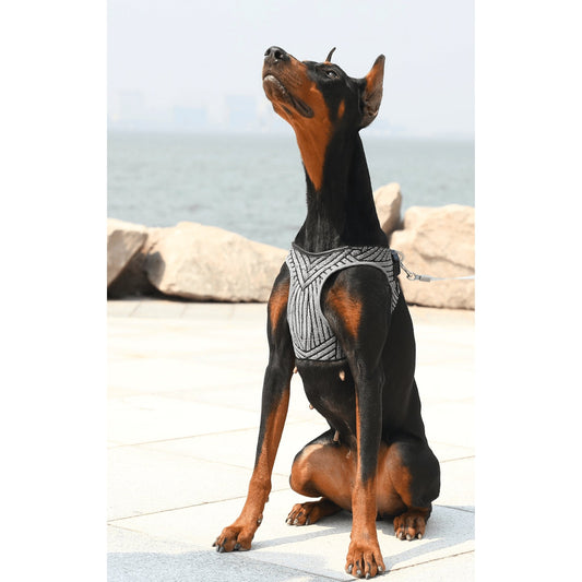 PETKIT AIR FLY DOG HARNESS