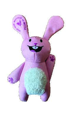 VPET We Are Friends Rabbit Dog Toy - M