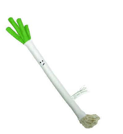 VPET I Love Vegetable Onion Dog Toy - M